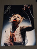 Lena Scissorhands - Blood Drops - Signed Limited Edition 8x12 Metallic Print