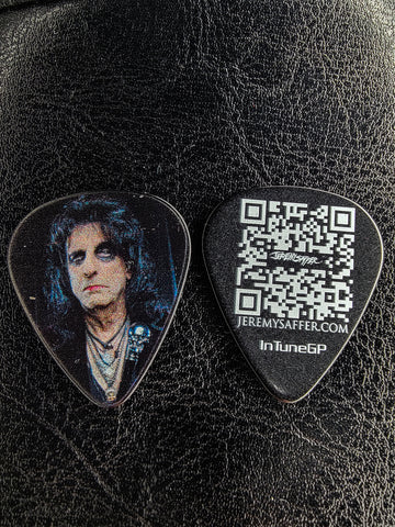 Alice 2 Business Card Guitar Pick