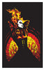 Mike D x Jeremy Saffer NEMHF screen print: Fire signed